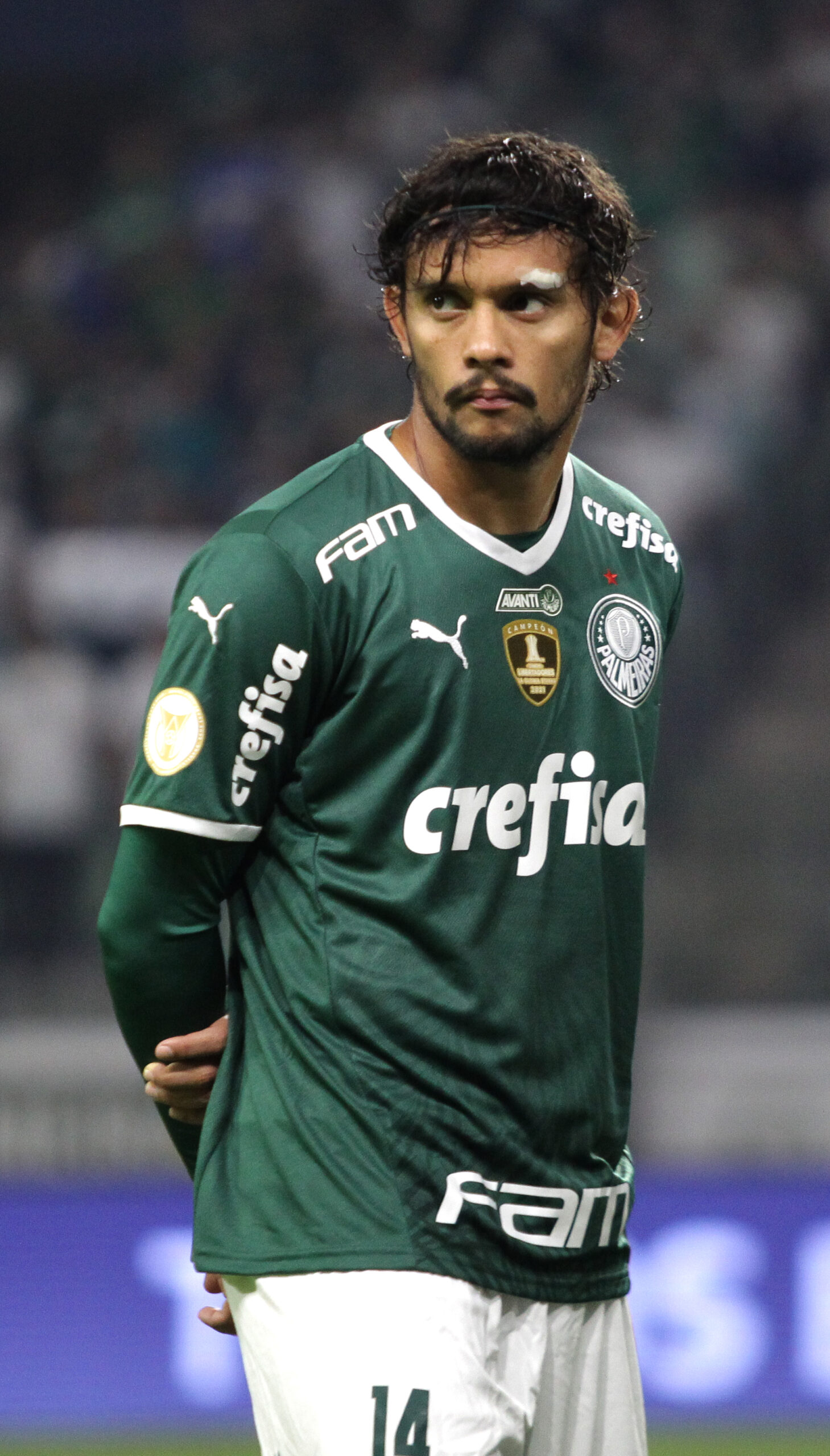 Quais são os jogadores do Palmeiras vítimas de golpe com criptomoeda?